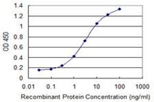 Detection limit for recombinant GST tagged CPA4 is 0. (CPA4 抗体  (AA 260-361))