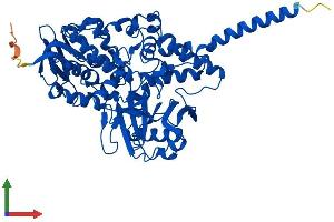 AlphaFold protein structure predicition of Mouse Recombinant Maoa Protein, UniprotID Q64133 (Monoamine Oxidase A Protein (MAOA) (AA 1-526) (His tag))