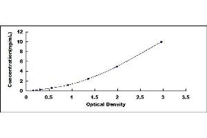 Typical standard curve (KLF5 ELISA 试剂盒)