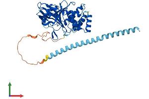 Protein Structure (PS) image for Protein tyrosine Phosphatase, Non-Receptor Type 2 (PTPN2) (AA 1-406) protein (His tag) (ABIN7563604)