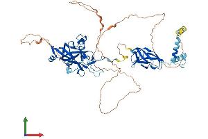 AlphaFold protein structure predicition of Human Recombinant EBF1 Protein, UniprotID Q9UH73