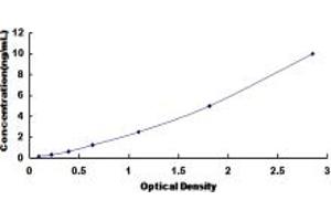 Typical standard curve (DPEP2 ELISA 试剂盒)