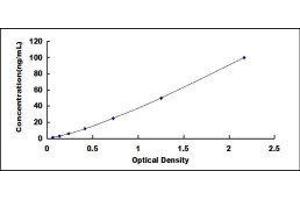 ELISA image for Collagen, Type IV, alpha 3 (COL4A3) ELISA Kit (ABIN417865)
