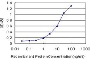 Detection limit for recombinant GST tagged BLK is approximately 1ng/ml as a capture antibody. (BLK 抗体  (AA 1-505))