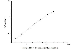 Typical standard curve (MMP12 ELISA 试剂盒)