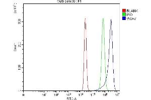 Flow Cytometry analysis of U20S cells using anti-WDR7 antibody (ABIN7600939). (WDR7 抗体  (AA 258-1292))