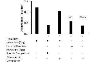 Activity Assay (AcA) image for FOS-Like Antigen 2 (FOSL2) ELISA Kit (ABIN5526741)