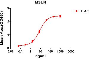 ELISA plate pre-coated by 2 μg/mL (100 μL/well) Human MSLN protein, mFc-His tagged protein ABIN6961104, ABIN7042237 and ABIN7042238 can bind Rabbit anti-MSLN monoclonal antibody (clone: DM71) in a linear range of 1-100 ng/mL. (Recombinant Mesothelin 抗体  (AA 296-580))