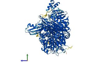 Protein Structure (PS) image for Phosphoribosylformylglycinamidine Synthase (PFAS) (AA 1-1338) protein (His tag) (ABIN7555099)