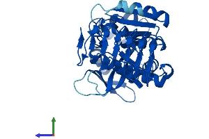 AlphaFold protein structure predicition of Mouse Recombinant Gmppb Protein, UniprotID Q8BTZ7 (GMPPB Protein (AA 1-360) (His tag))