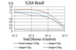 Black line: Control Antigen (100 ng),Purple line: Antigen (10 ng), Blue line: Antigen (50 ng), Red line:Antigen (100 ng) (eIF4EBP1 抗体  (pSer65))
