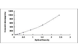 Typical standard curve (beta 2 Defensin ELISA 试剂盒)