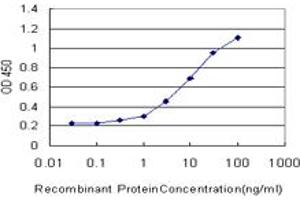 Detection limit for recombinant GST tagged FOXO3A is approximately 0. (FOXO3 抗体  (AA 361-460))