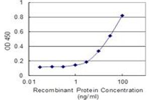 Detection limit for recombinant GST tagged EBF1 is 0. (EBF1 抗体  (AA 1-591))