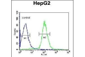 DI Antibody (Center) (ABIN653065 and ABIN2842666) flow cytometric analysis of HepG2 cells (right histogram) comred to a negative control cell (left histogram). (CCDC85B 抗体  (AA 69-96))