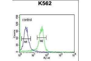 JMJD2B Antibody (N-term) (ABIN653341 and ABIN2842825) flow cytometric analysis of K562 cells (right histogram) compared to a negative control cell (left histogram). (KDM4B 抗体  (N-Term))