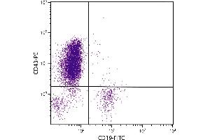 Human peripheral blood lymphocytes were stained with Mouse Anti-Human CD43-PE. (CD43 抗体  (APC))