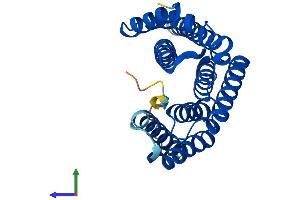 Protein Structure (PS) image for 14-3-3 epsilon (YWHAE) (AA 1-255) protein (His tag) (ABIN7556600)