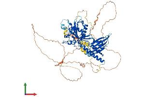 Protein Structure (PS) image for RAP1 GTPase Activating Protein (RAP1GAP) (AA 1-663) protein (His tag) (ABIN7551489)