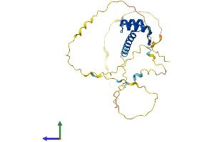 AlphaFold protein structure predicition of Mouse Recombinant Cdx1 Protein, UniprotID P18111