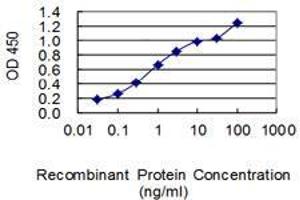 Detection limit for recombinant GST tagged GATC is 0. (GATC 抗体  (AA 1-136))