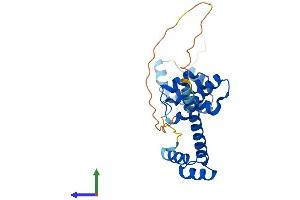 Protein Structure (PS) image for SIX Homeobox 6 (SIX6) (AA 1-246) protein (His tag) (ABIN7546026)