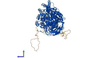 Protein Structure (PS) image for Endoplasmic Reticulum Aminopeptidase 1 (ERAP1) (AA 1-941) protein (His tag) (ABIN7553855)