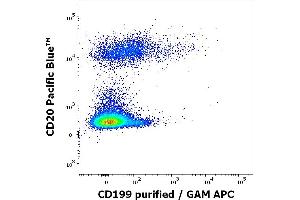 Flow cytometry multicolor surface staining pattern of human lymphocytes using anti-human CD199 (C9Mab-1) purified antibody (concentration in sample 0. (CCR9 抗体)