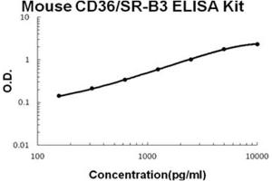 Mouse CD36/SR-B3 Accusignal ELISA Kit Mouse CD36/SR-B3 AccuSignal ELISA Kit standard curve. (CD36 (SR-B3) ELISA 试剂盒)
