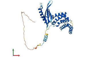 Protein Structure (PS) image for Sorting Nexin 20 (SNX20) (AA 1-313) protein (His tag) (ABIN7560929)
