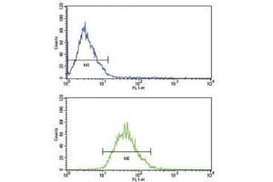 LDLR antibody flow analysis of MCF-7 cells (bottom histogram) compared to a negative control (top histogram). (LDLR 抗体  (AA 391-419))