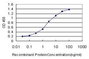 Detection limit for recombinant GST tagged HOXA11 is approximately 0. (Homeobox A11 抗体  (AA 60-166))
