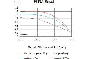 Black line: Control Antigen (100 ng),Purple line: Antigen (10 ng), Blue line: Antigen (50 ng), Red line:Antigen (100 ng) (PIDD 抗体  (AA 776-910))