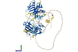 Protein Structure (PS) image for Deltex Homolog 4 (Drosophila) (DTX4) (AA 1-619) protein (His tag) (ABIN7547164)
