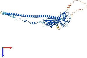 FSD1 Protein (AA 1-496) (His tag)