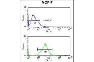 Flow Cytometry (FACS) image for anti-Small Nuclear Ribonucleoprotein D3 Polypeptide 18kDa (SNRPD3) (AA 99-126), (C-Term) antibody (ABIN653228)
