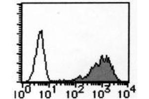 Flow Cytometry (FACS) image for anti-Solute Carrier Family 3 (Activators of Dibasic and Neutral Amino Acid Transport), Member 2 (SLC3A2) antibody (ABIN1449273) (SLC3A2 抗体)