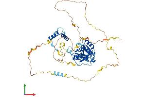 Protein Structure (PS) image for RNA-Binding Region (RNP1, RRM) Containing 3 (RNPC3) (AA 1-514) protein (His tag) (ABIN7557318)