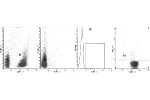 Image no. 1 for anti-Interleukin 10 (IL10) antibody (FITC) (ABIN1107780) (IL-10 抗体  (FITC))