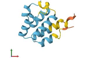AlphaFold protein structure predicition of Human Recombinant PYDC2 Protein, UniprotID Q56P42