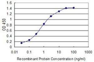 Detection limit for recombinant GST tagged IGKC is 0. (IGKC 抗体  (AA 1-236))