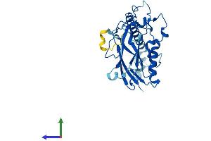 Protein Structure (PS) image for ATPase, Na+/K+ Transporting, beta 1 Polypeptide (ATP1B1) (AA 1-303) protein (His tag) (ABIN7552456)