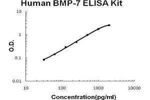 Human BMP-7 PicoKine ELISA Kit standard curve (BMP7 ELISA 试剂盒)
