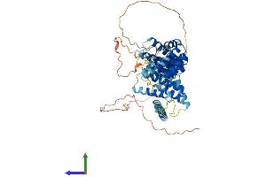 Protein Structure (PS) image for Spermatogenesis Associated 16 (SPATA16) (AA 1-569) protein (His tag) (ABIN7546433)
