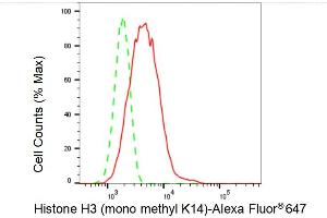 Flow cytometric analysis of Histone H3 (mono methyl K14) expression in C2C12 cells using Histone H3 (mono methyl K14) antibody (ABIN7798958), 1:2,000). (Recombinant Histone 3 抗体  (H3K14me1))