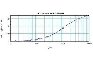 Image no. 5 for anti-Resistin Like beta (RETNLB) antibody (ABIN465495) (RETNLB 抗体)