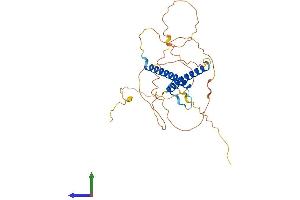 Protein Structure (PS) image for Oligodendrocyte Lineage Transcription Factor 2 (OLIG2) (AA 1-323) protein (His tag) (ABIN7561415)