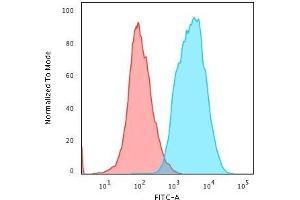 Flow Cytometric Analysis of human HeLa cells. (KRT 抗体)