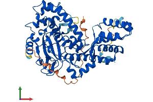 Protein Structure (PS) image for SET Domain Containing 6 (SETD6) (AA 1-473) protein (His tag) (ABIN7560694)