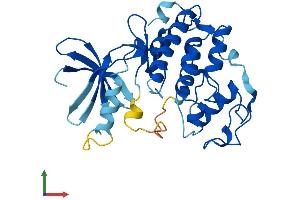 Protein Structure (PS) image for Cyclin-Dependent Kinase 1 (CDK1) (AA 1-297) protein (His tag) (ABIN7553338)